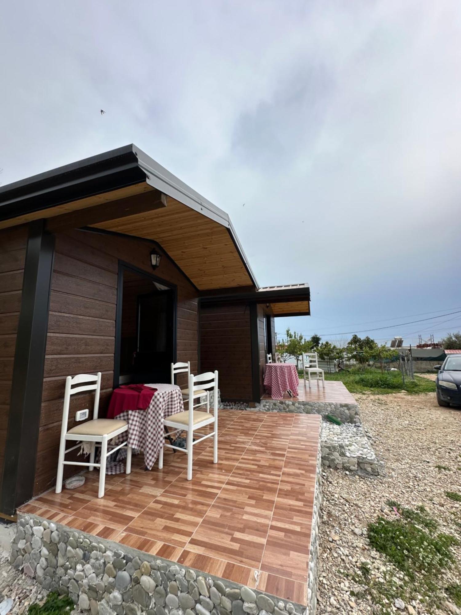 Tony Home Борш Стая снимка